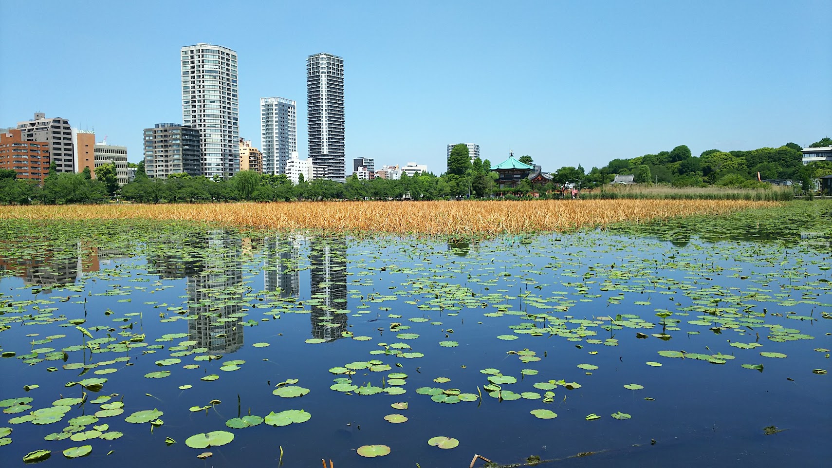 「ミノー」の使い方について ルアーフィッシングメソッド